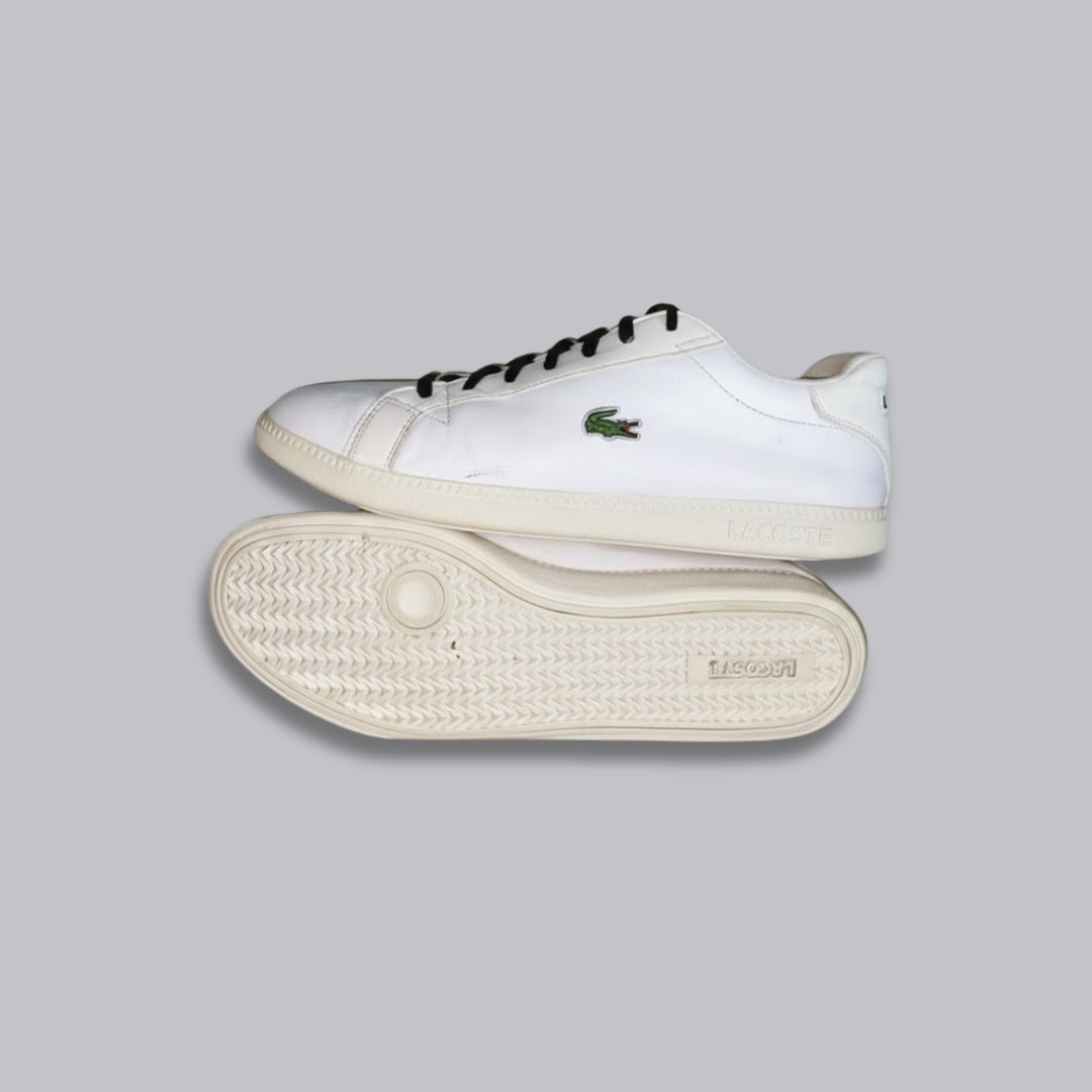 Lacoste Graduate